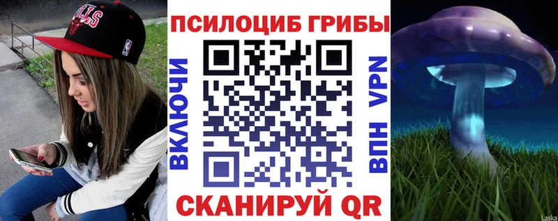МЕГА ONION  Братск  Галлюциногенные грибы Magic Shrooms  купить закладку 