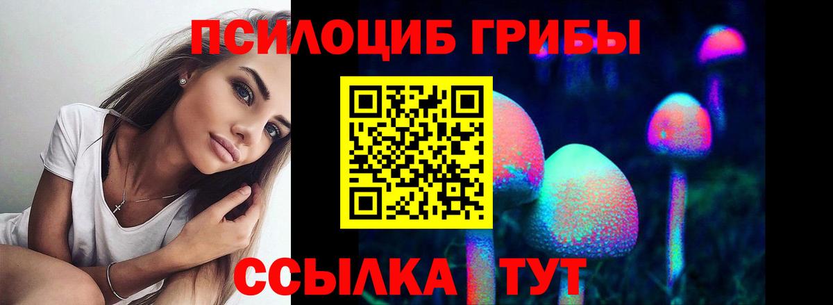 Галлюциногенные грибы MAGIC MUSHROOMS  Галлюциногенные грибы ЛСД  Вход с VPN  Братск 